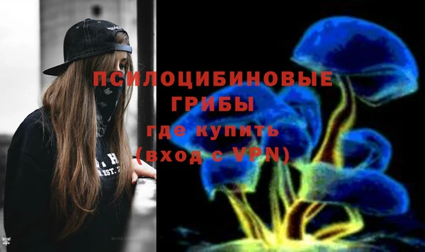 не бодяженный Алзамай