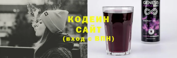 кокс Алексин
