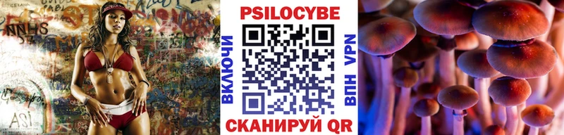 Псилоцибиновые грибы GOLDEN TEACHER Рубцовск