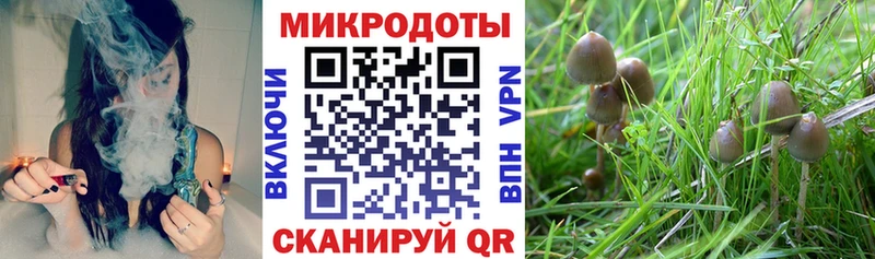Псилоцибиновые грибы GOLDEN TEACHER  Рубцовск 